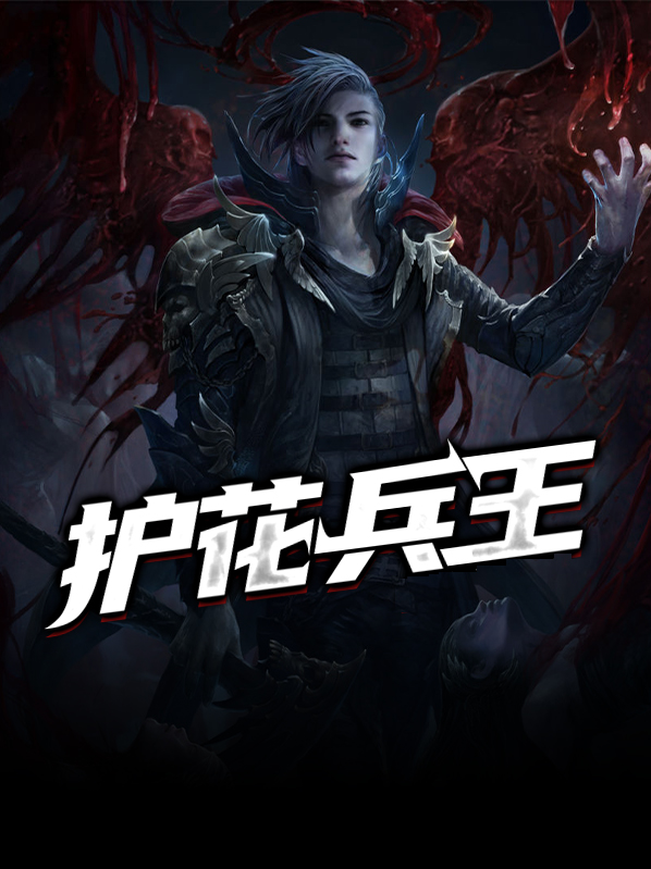 护花兵王