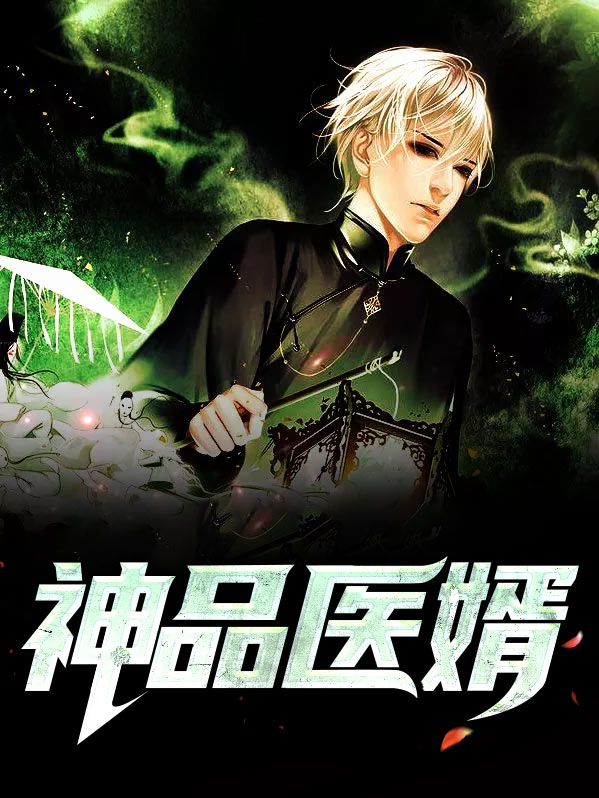 神品医婿