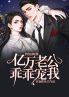错嫁缠婚：亿万老公乖乖宠我