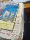 妈妈的日记