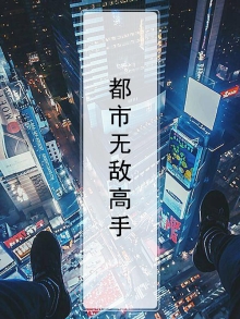 都市无敌高手