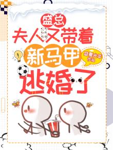 盛总,夫人又带着新马甲逃婚了!
