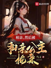相亲,然后被和亲公主抢亲