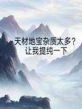 天材地宝杂质太多？让我提纯一下