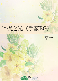 暗夜之光（手冢BG）