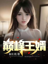 巅峰王婿