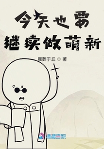 今天也要继续做萌新