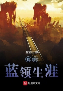 我的蓝领生涯