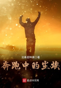 奔跑中的尘埃