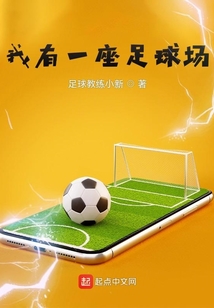 我有一座足球场