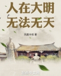 人在大明，无法无天