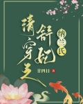 清穿之舒妃纳兰氏