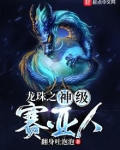 龙珠之神级赛亚人
