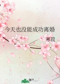 今天也没能成功离婚