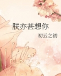 朕亦甚想你
