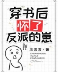 穿书后怀了反派的崽