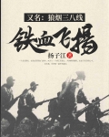 铁血飞扬（又名：狼烟三八线）
