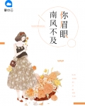 南风不及你眉眼