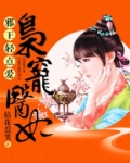 邪王轻点爱:枭宠医妃