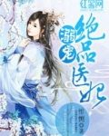 溺宠绝品医妃