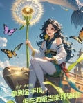 海贼:草帽团中的最强辅助