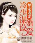 挚宠逃妻:冷少谋婚设爱