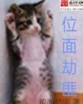 位面劫匪