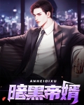 暗黑帝婿
