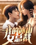 我的冰山女总裁