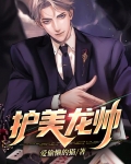 护美龙帅