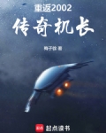 重返2002:传奇机长