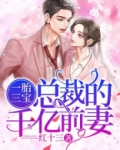 一胎三宝:总裁的千亿前妻