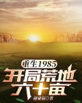 重生1985，开局荒地六十亩