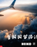 董锵锵留德记