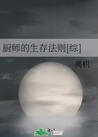 厨师的生存法则[综]