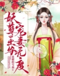 神医狂妃:妖孽王爷宠妻无度
