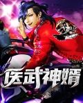 医武神婿