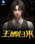 王婿归来