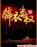 锦衣当权