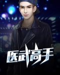 医武高手