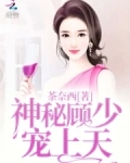 神秘顾少，宠上天